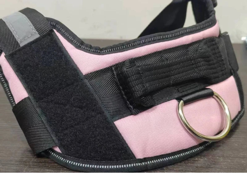 Harnais pour chien personnalisé, réfléchissant et réglable