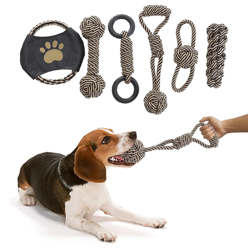 Jouet pour chien en corde de coton, adapté aux chiens de petite et moyenne taille