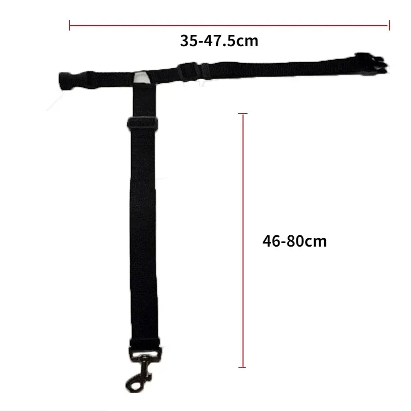 Ceinture de sécurité pour chien en voiture