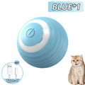 Jouet pour chien