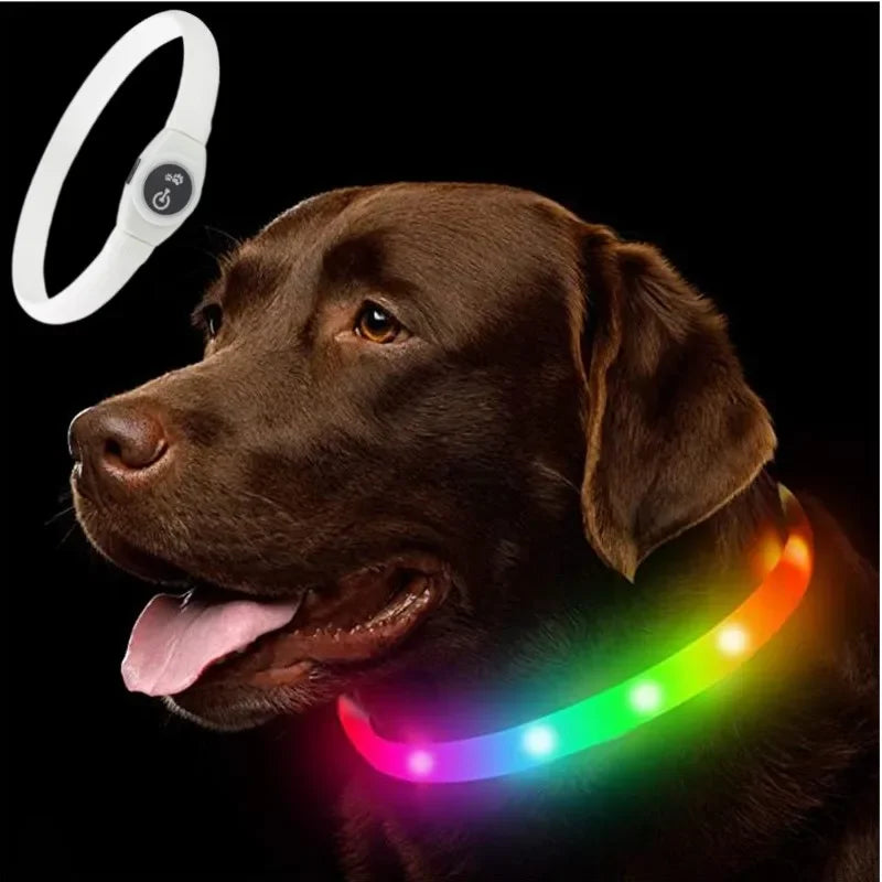 Collier lumineux LED étanche en PVC