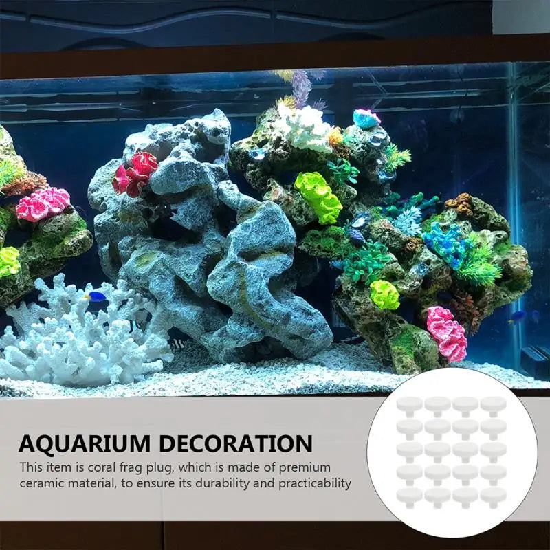 socles décoratifs pour aquarium