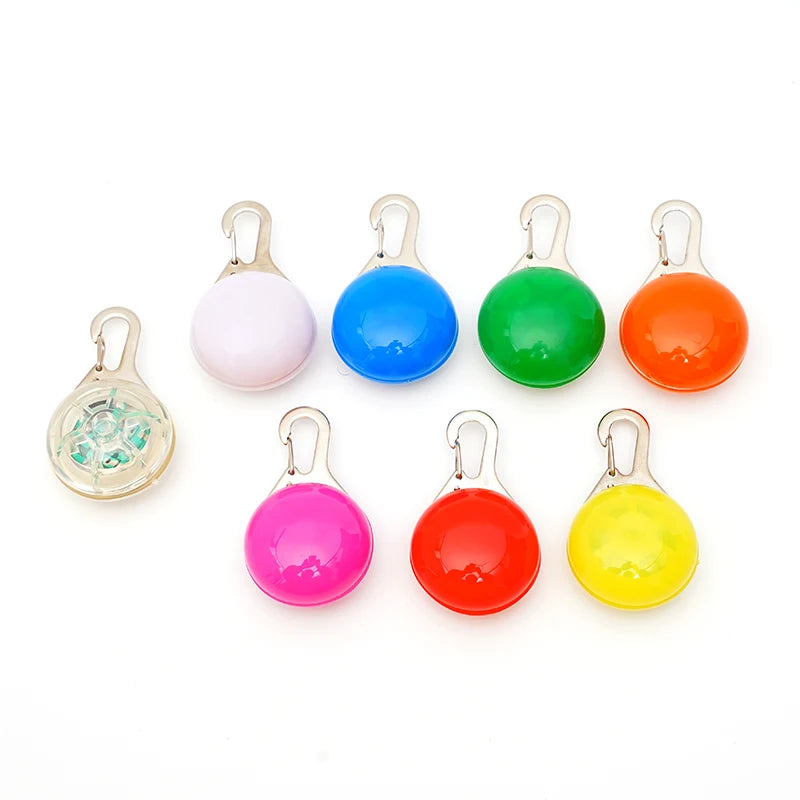 Collier lumineux LED pour chien et chat
