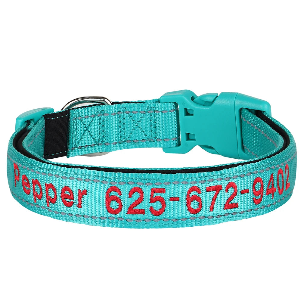 Collier pour chien
