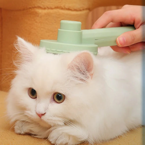 Brosse à poils pour chiens et chats, peigne en acier inoxydable pour le toilettage et l'entretien des chats à poils longs