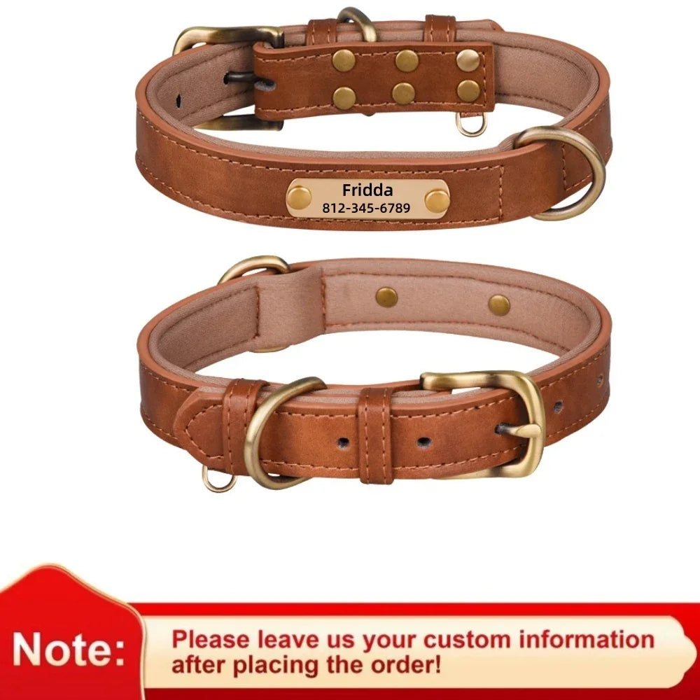Collier pour chien