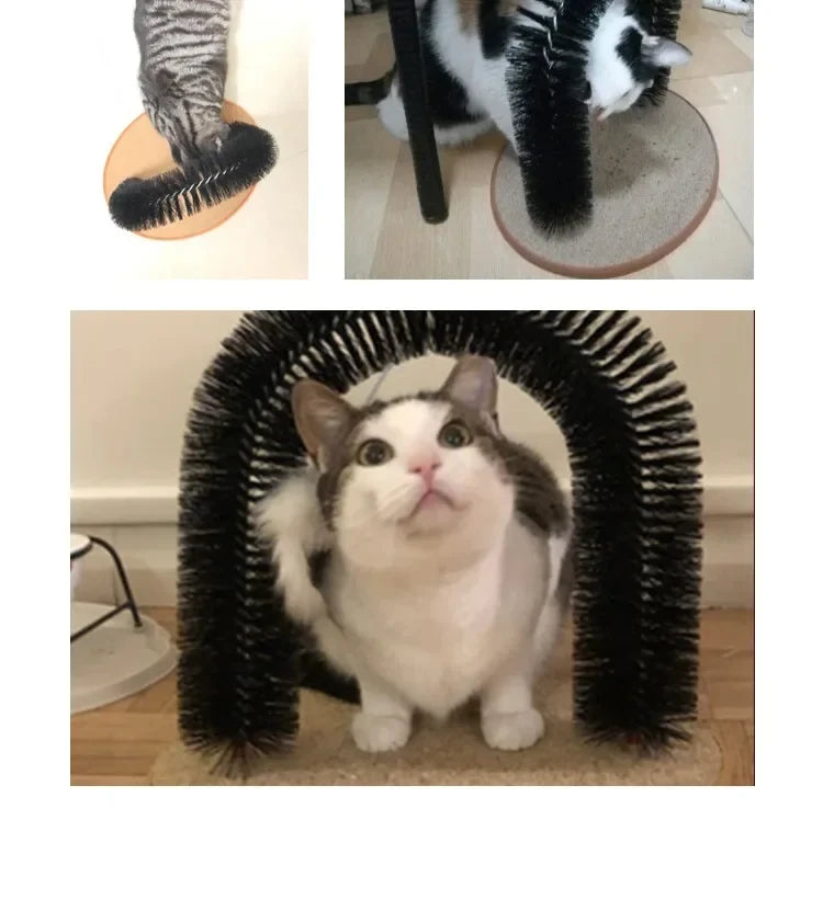 Arche de toilettage pour chat