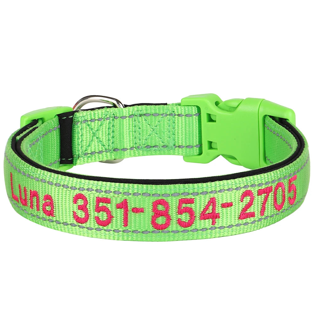 Collier pour chien
