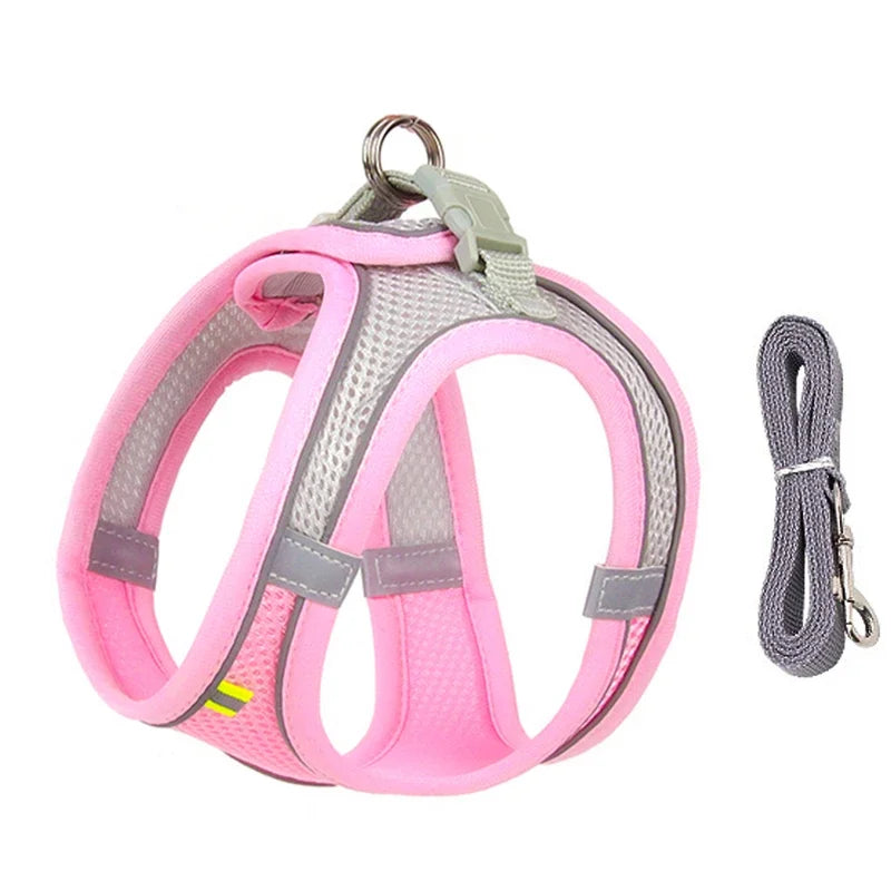 Ensemble harnais pour chiot