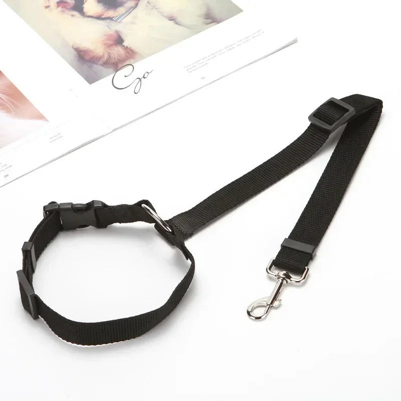 Ceinture de sécurité pour chien en voiture