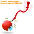 Jouet interractif