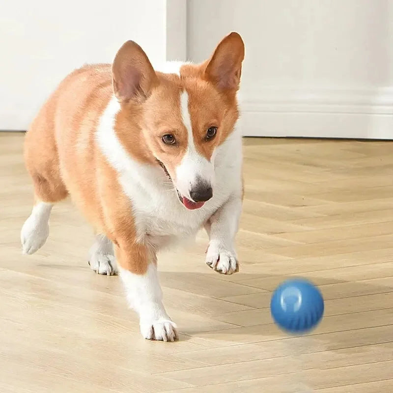 Balle jouet intelligente pour chien