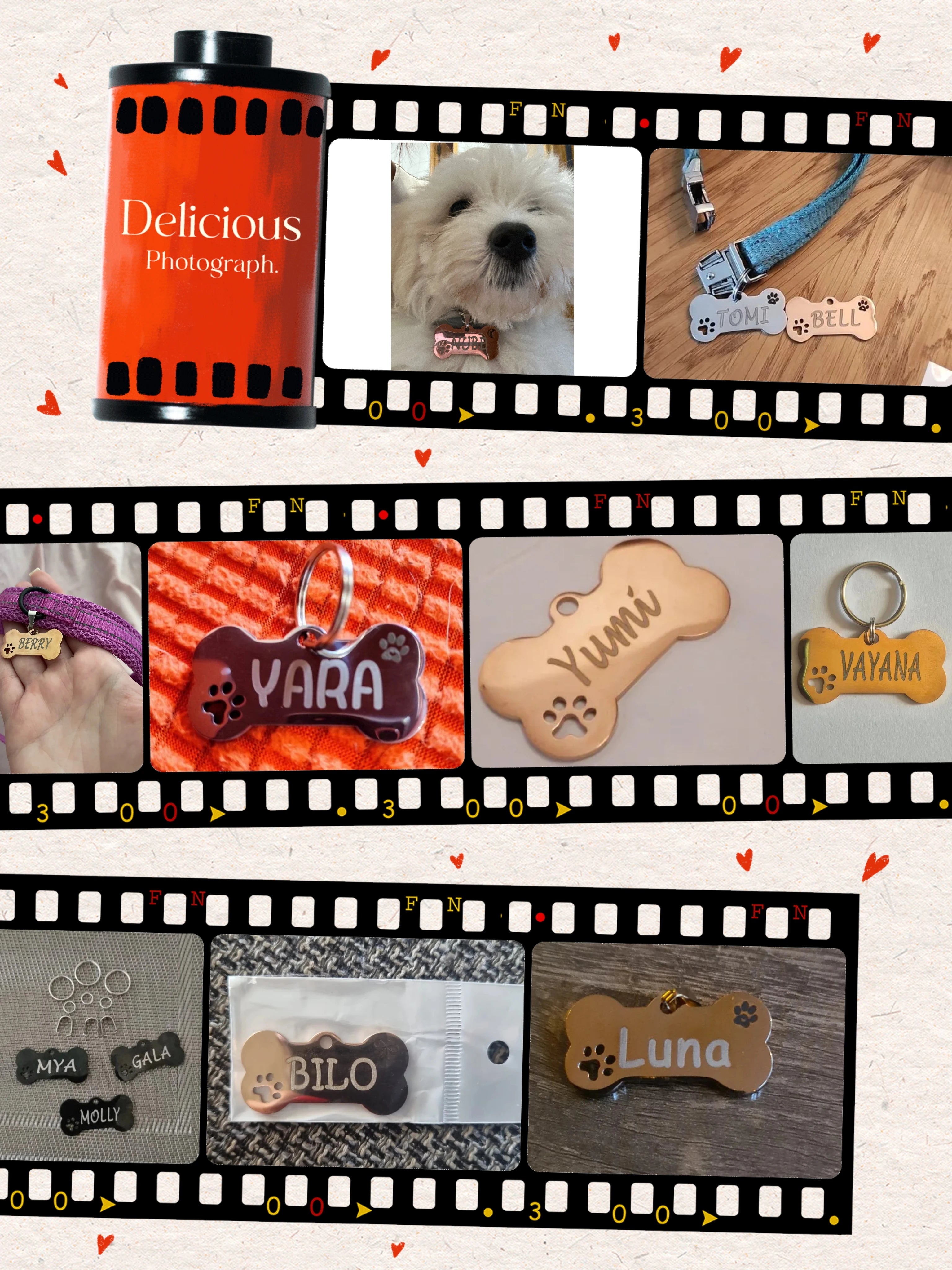 Médaille d'identification pour animaux de compagnie