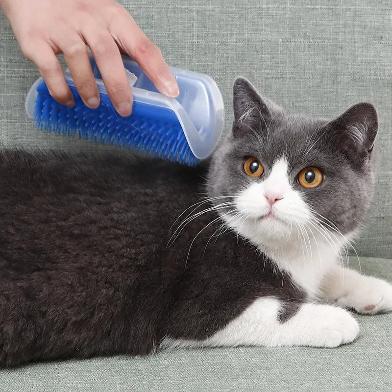 Brosse d'angle pour chat, peigne masseur