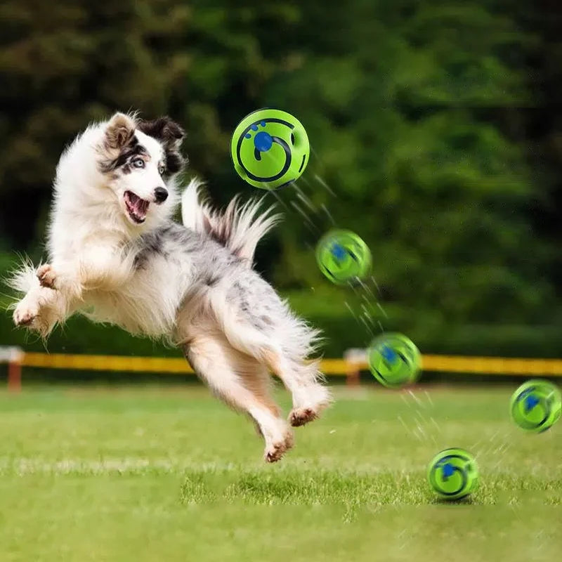 Jouet pour chien