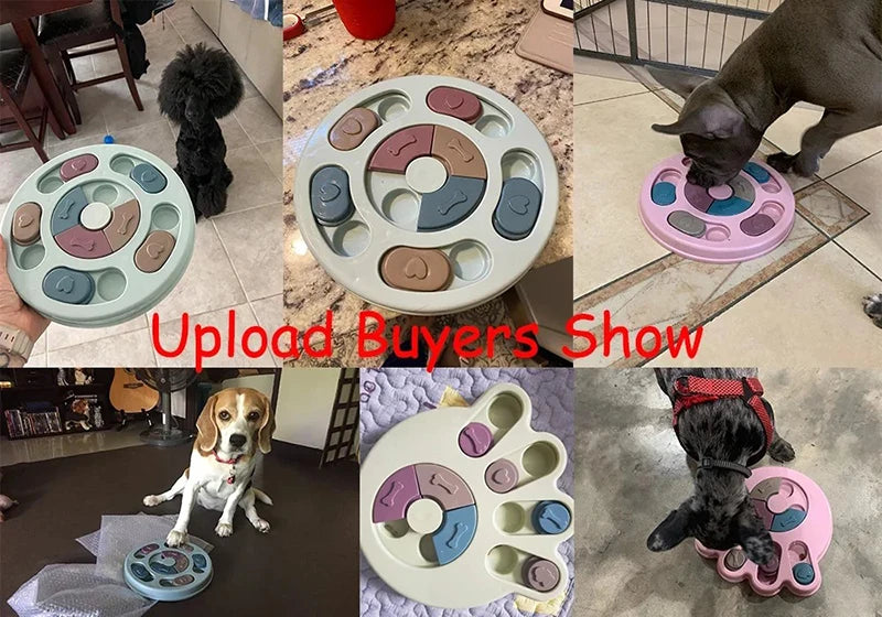 Gamelle interactive pour chiens et chats