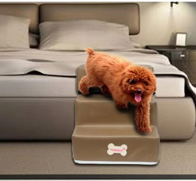 Escalier pour chien
