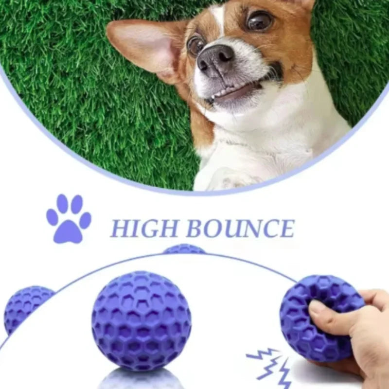 Balle interactive indestructible en caoutchouc à mâcher pour chiens de petite