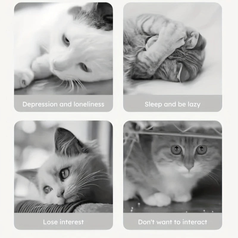 Jouet interactif pour chat et chien