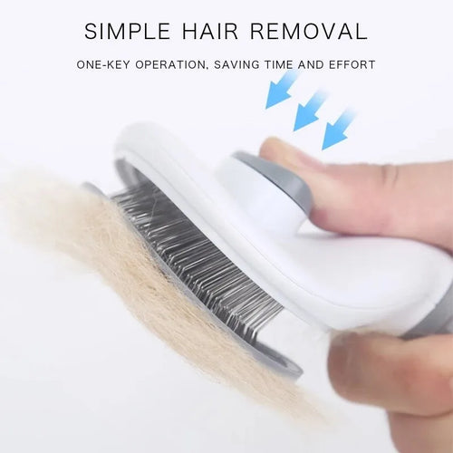 Brosse démêlante