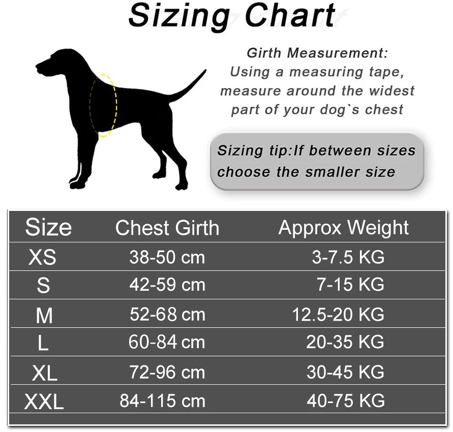 Harnais pour chien personnalisé, réfléchissant et réglable