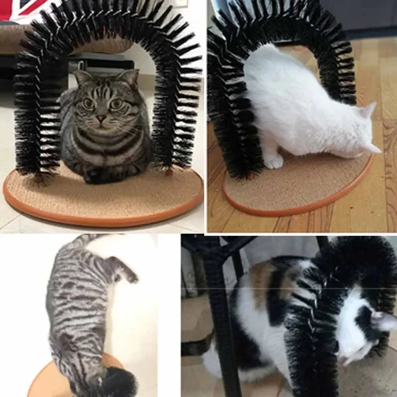 Arche de toilettage pour chat