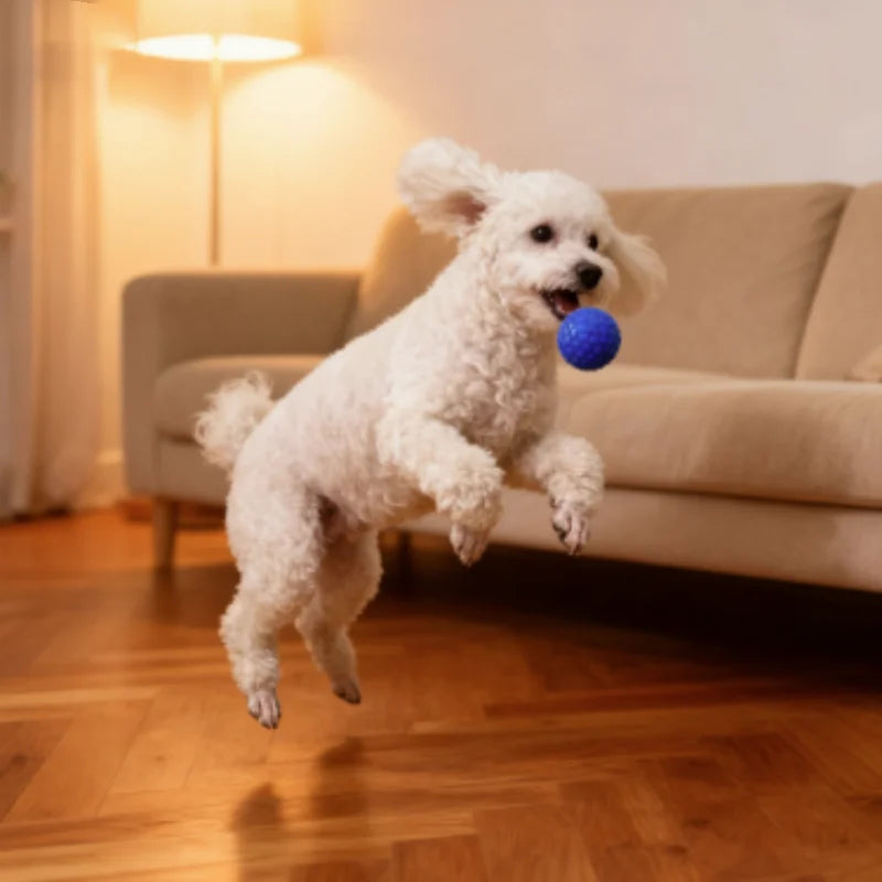 Balle interactive indestructible en caoutchouc à mâcher pour chiens de petite