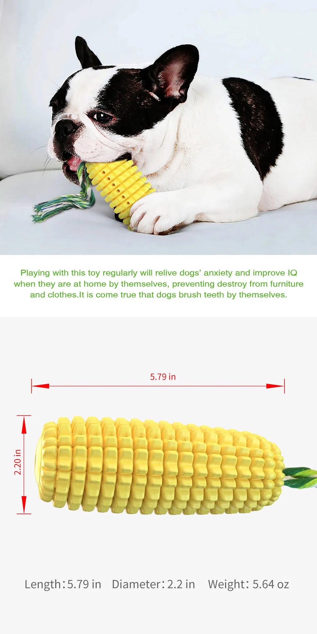 Jouet pour chien