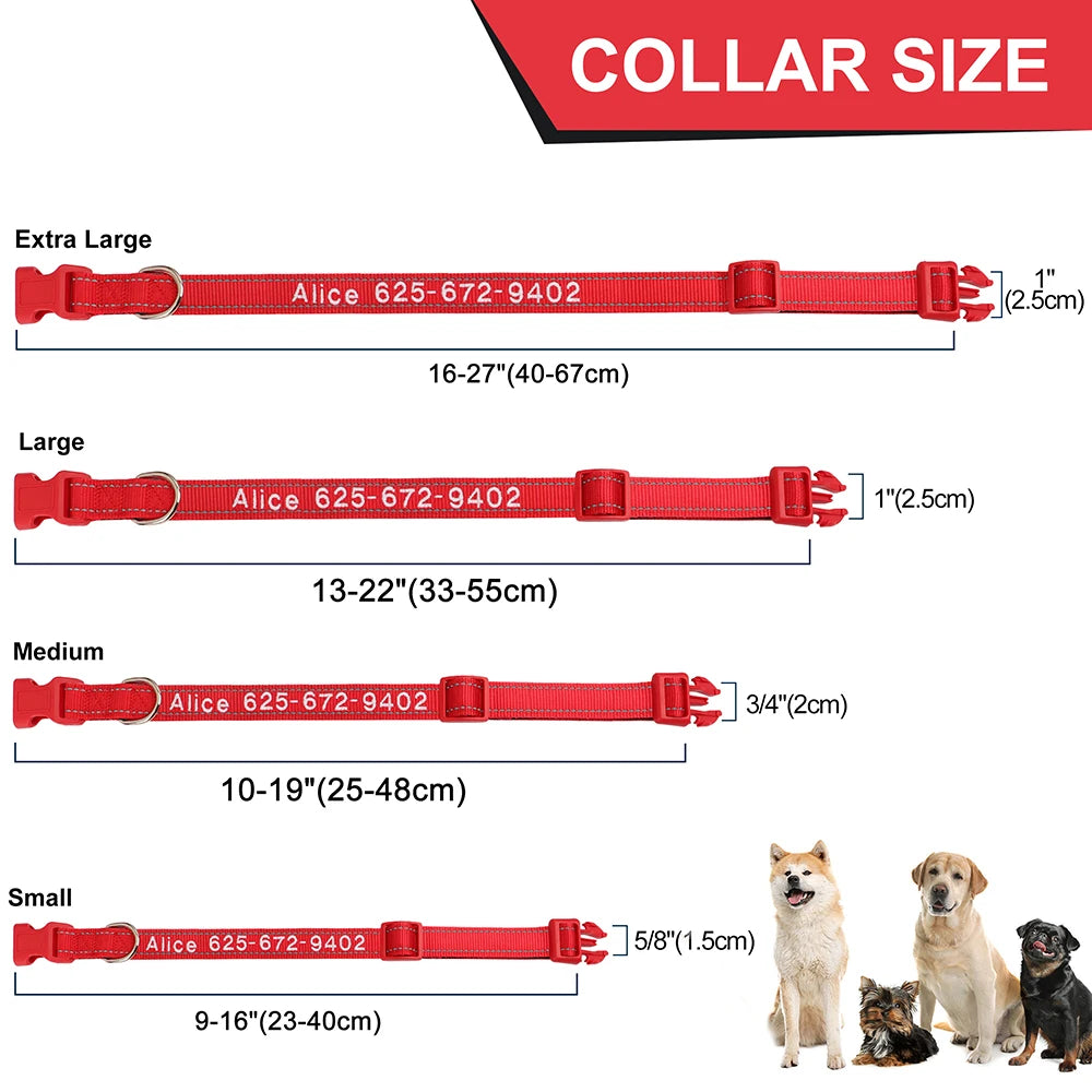 Collier pour chien
