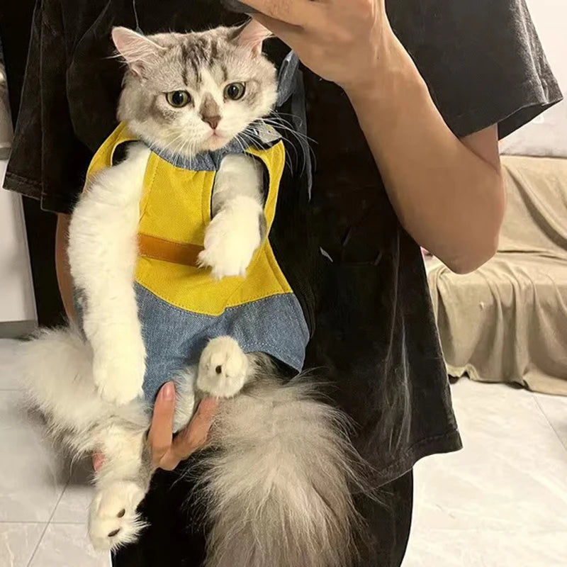 Porte chat