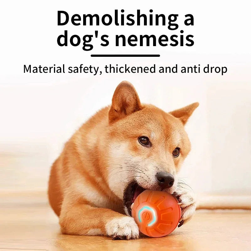 Balle jouet intelligente pour chien