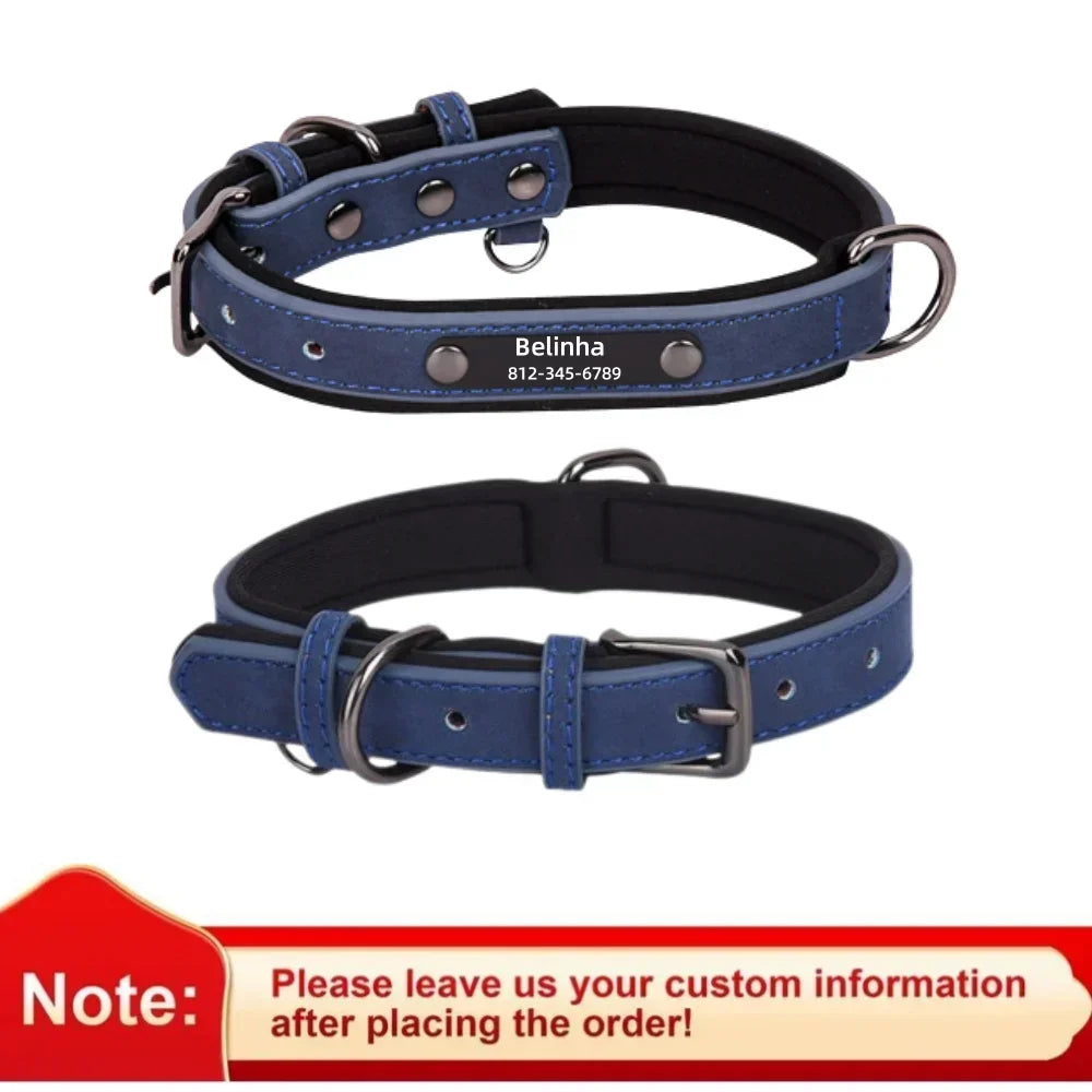 Collier pour chien