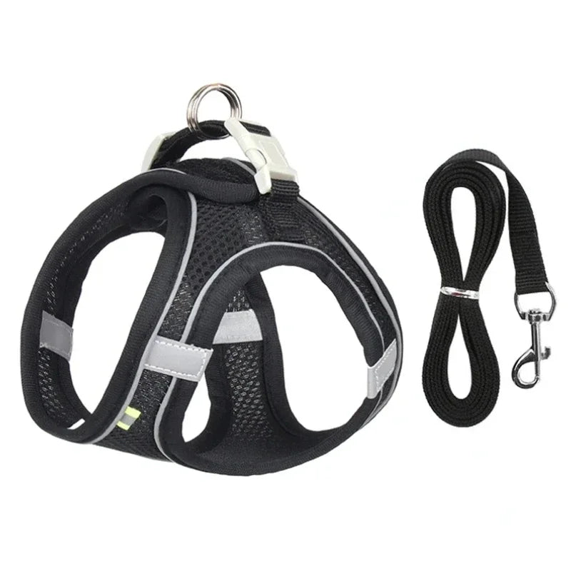 Harnais pour chien