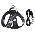 Harnais pour chien