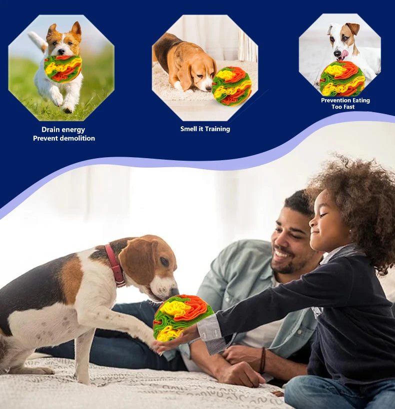 Balle à fouiller interactive pour chiens