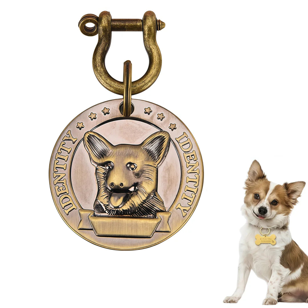 Collier VIP personnalisé avec numéro de téléphone et adresse