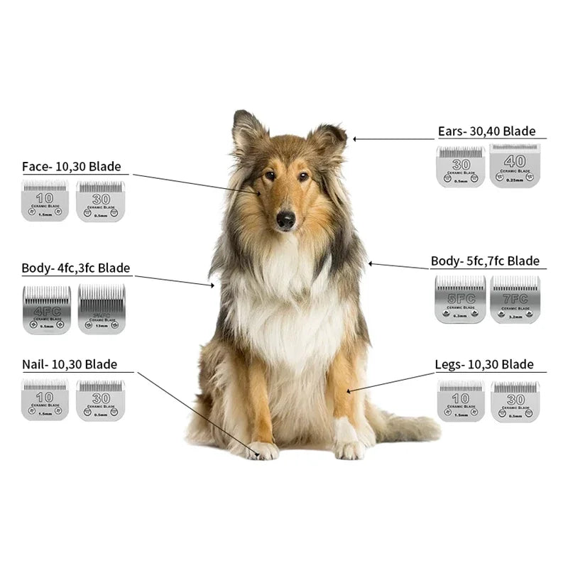 Lame en céramique compatible avec tondeuse pour animaux