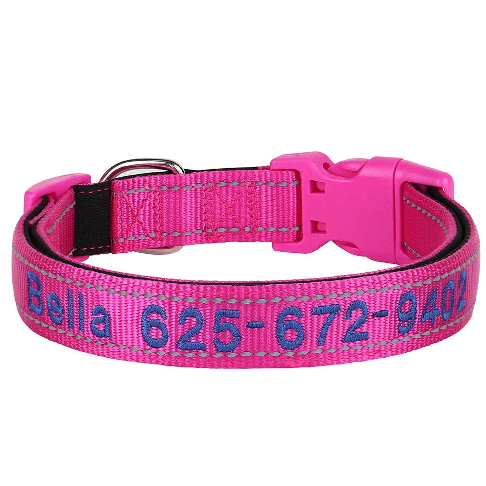 Collier pour chien