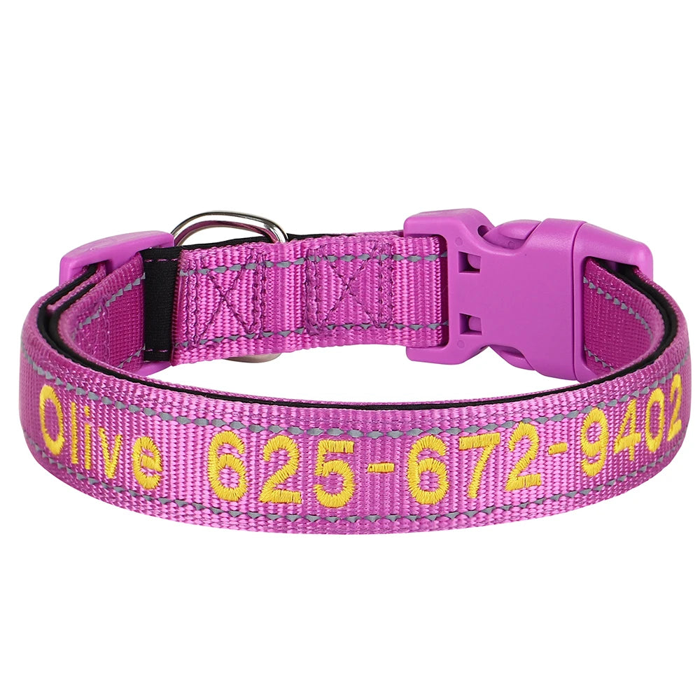 Collier pour chien