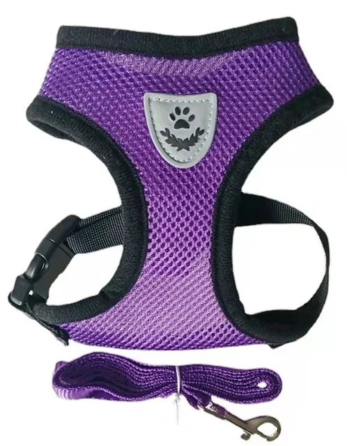 Harnais pour chat et chien avec laisse
