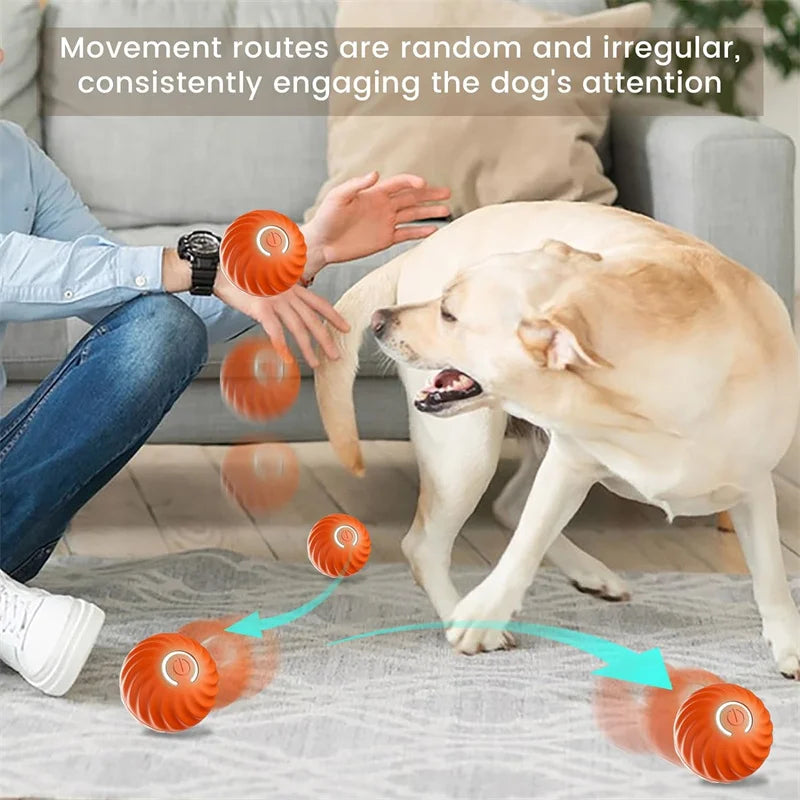 Balle jouet intelligente pour chien