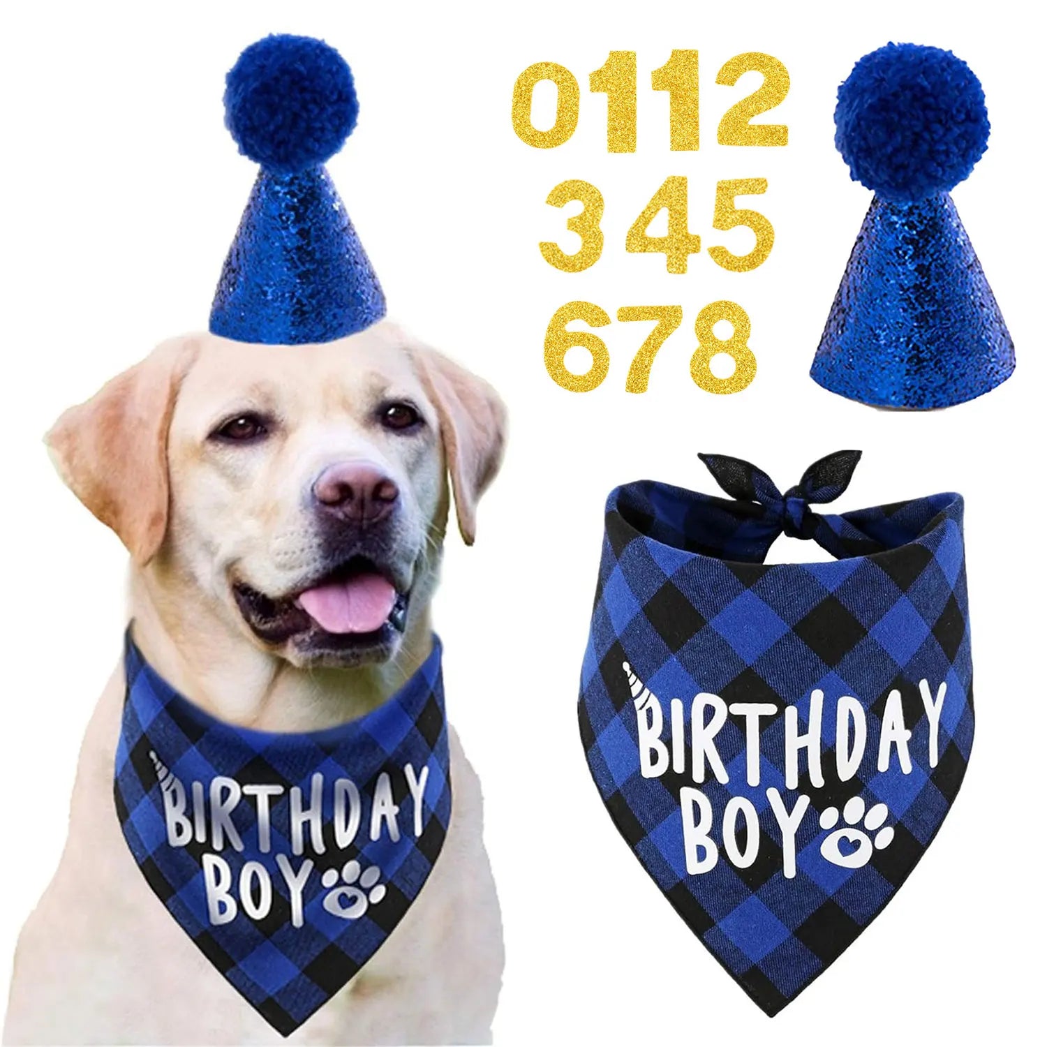 Ensemble de 4 articles pour fête d'anniversaire de chien : bandana « Birthday Boy », chapeau d'anniversaire avec chiffres pour chiens