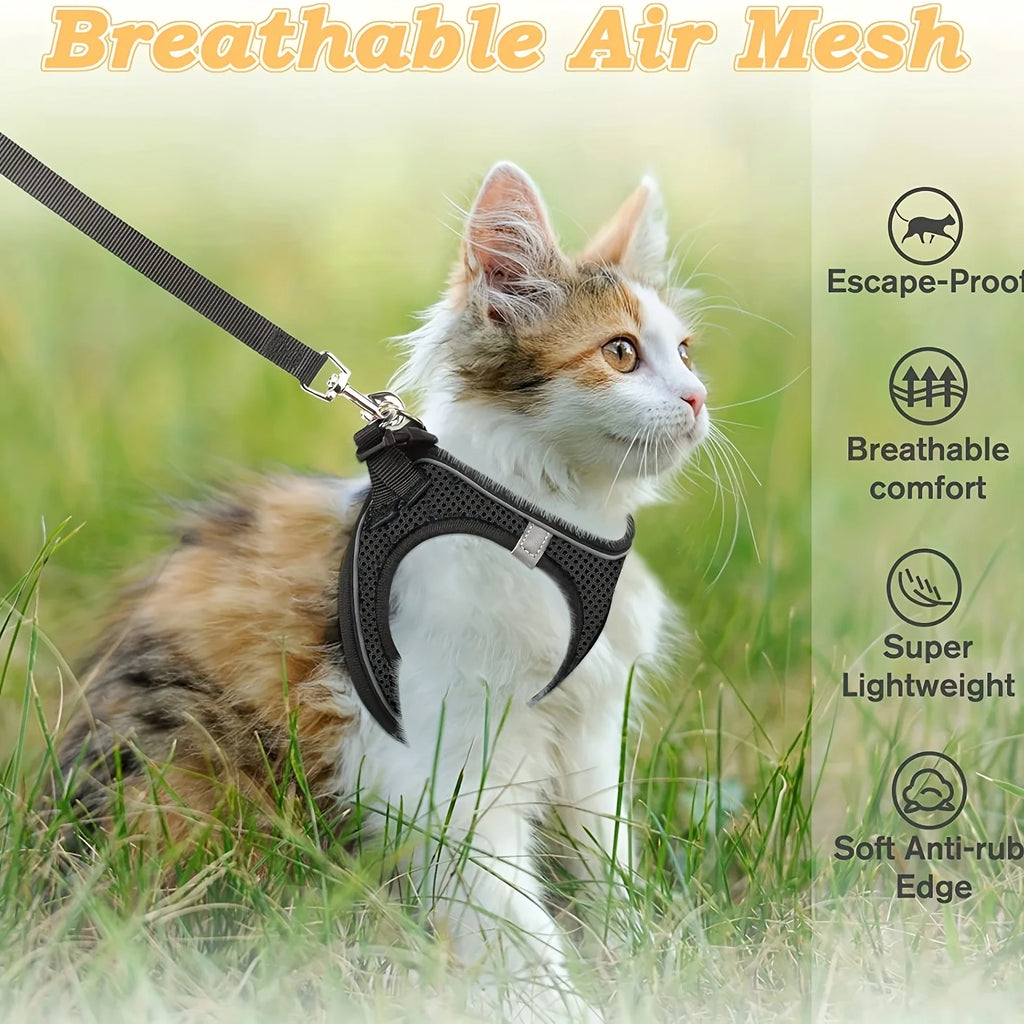 Ensemble harnais et laisse pour chien pour la promenade