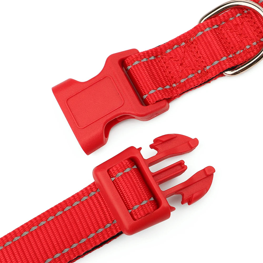 Collier pour chien