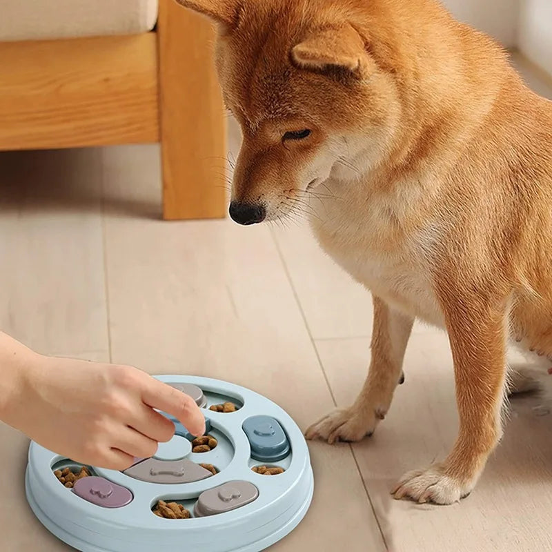 Jouet d'éducation alimentaire interactif pour chien