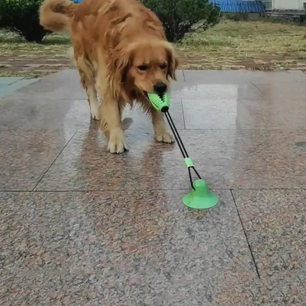 Jouet pour chien