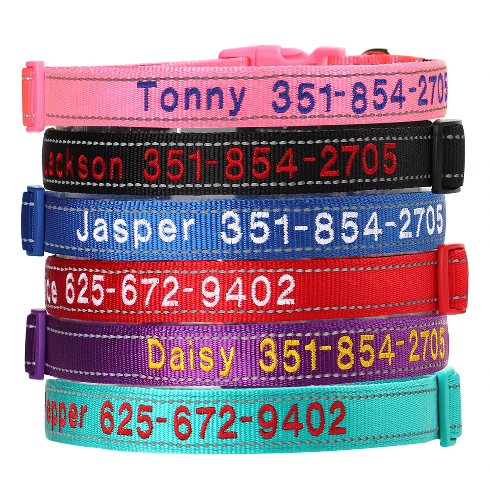 Collier pour chien