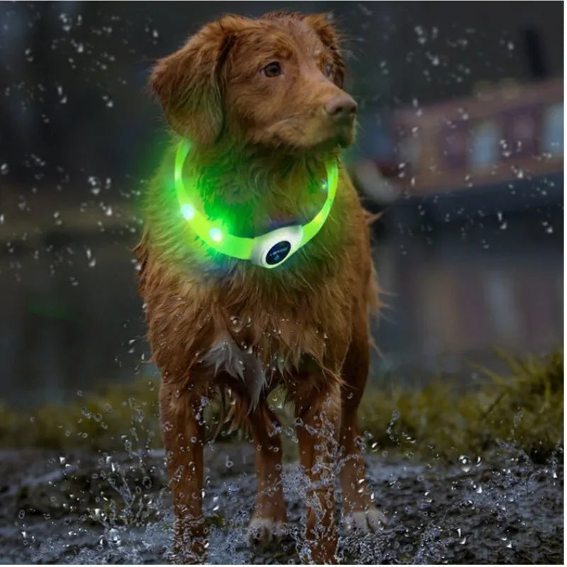 Collier lumineux LED étanche en PVC