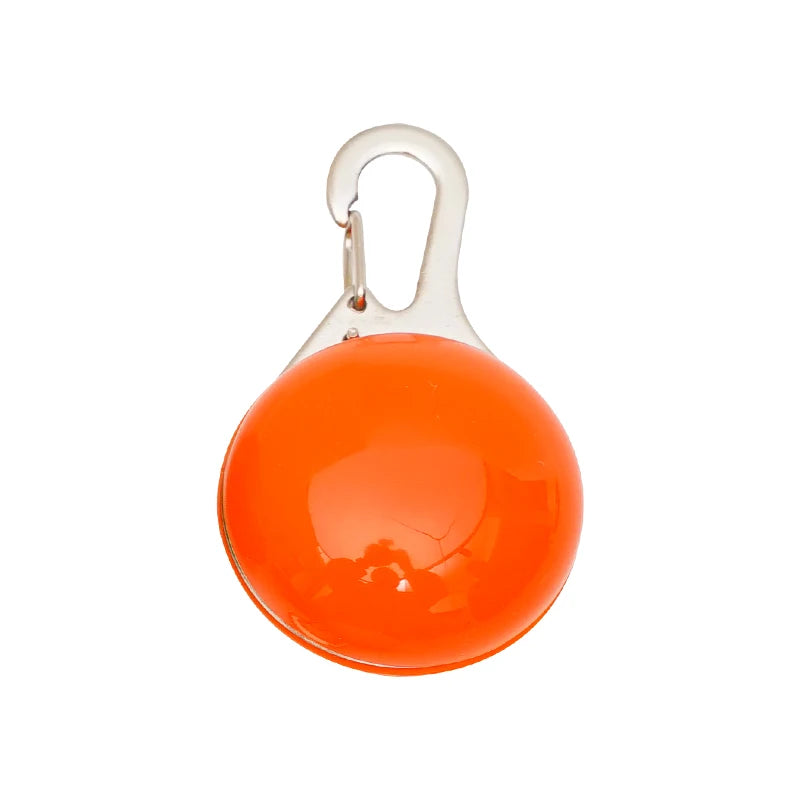 Collier lumineux LED pour chien et chat