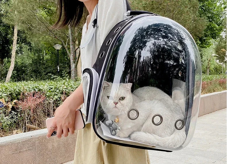 Sac de transport pour chat